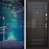 Металлическая дверь Фотопечать №149